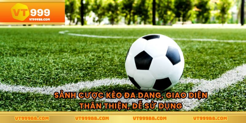 Sảnh cược kèo đa dạng, giao diện thân thiện, dễ sử dụng